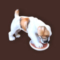 Figura de porcelana alemana de un cachorro beagle comiendo, diseño realista de Limbach años 50, ideal para colección de decoración vintage.