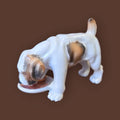 Cachorro beagle de porcelana alemana Limbach, figura decorativa de los años 50 para coleccionistas de arte vintage en hogar y jardín.