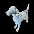 Primer plano de figura de Setter Irlandés en porcelana Martinu, pieza única con expresión realista y acabado de alta calidad.