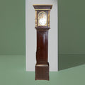 Reloj Comtoise de pie del siglo XIX, estilo Napoleón III francés, con esfera esmaltada y estructura de madera oscura. Perfecto para ambientes clásicos.