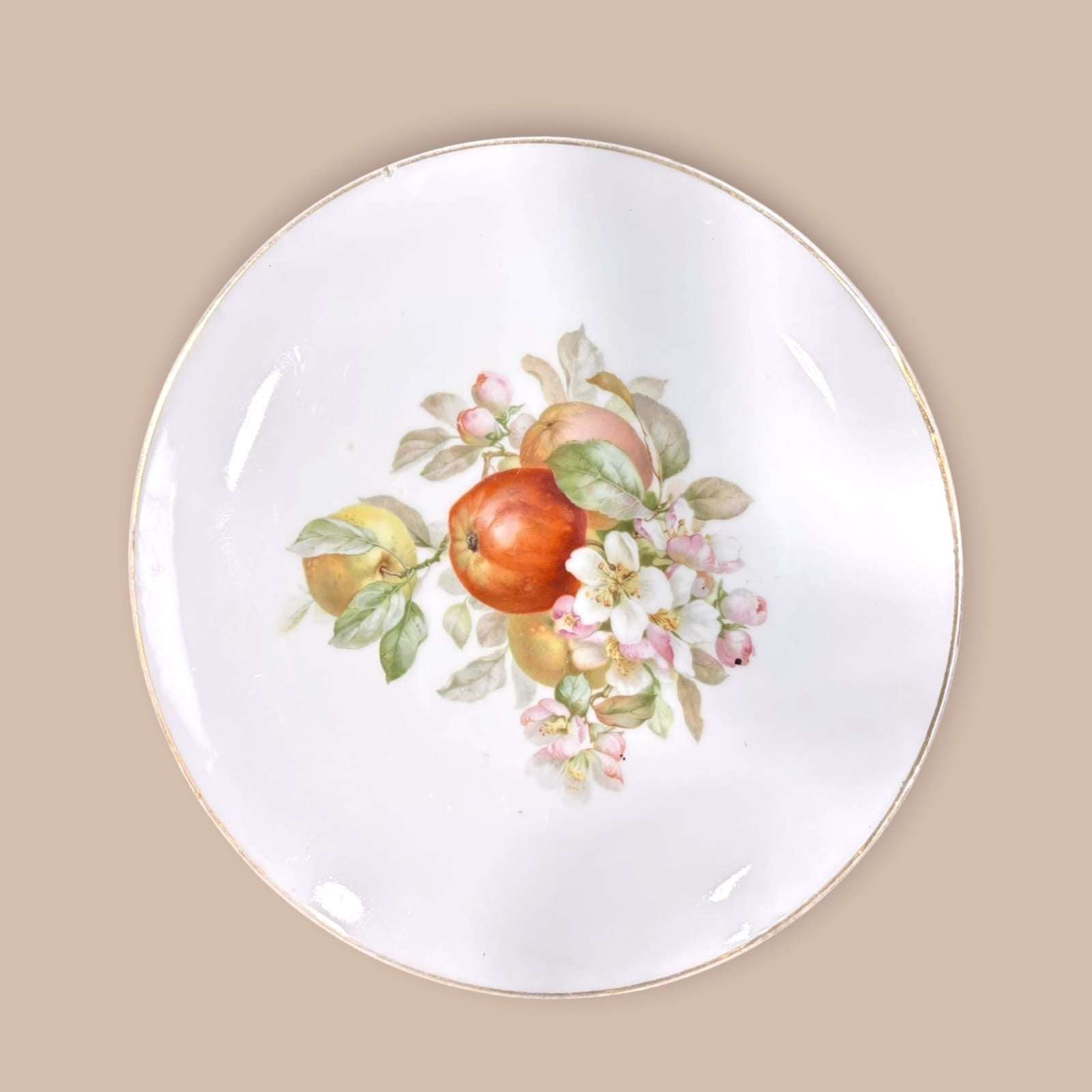 Plato decorativo Thomas Bavaria de porcelana pintado a mano con frutas y flores. Elegancia artesanal para coleccionistas o decoración.