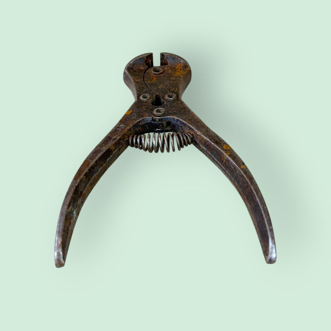 La Cizalla es una herramienta manual de corte. La Real Academia Española la define como un instrumento, a modo de tijeras grandes, utilizado para cortar en frío planchas de metal. &nbsp;