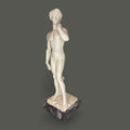 Su función original era representar la perfección anatómica y la belleza clásica; hoy se convierte en una pieza decorativa y de colección ideal para hogares elegantes, despachos, bibliotecas o vitrinas artísticas.

La figura transmite fuerza, equilibrio y presencia visual gracias a su composici