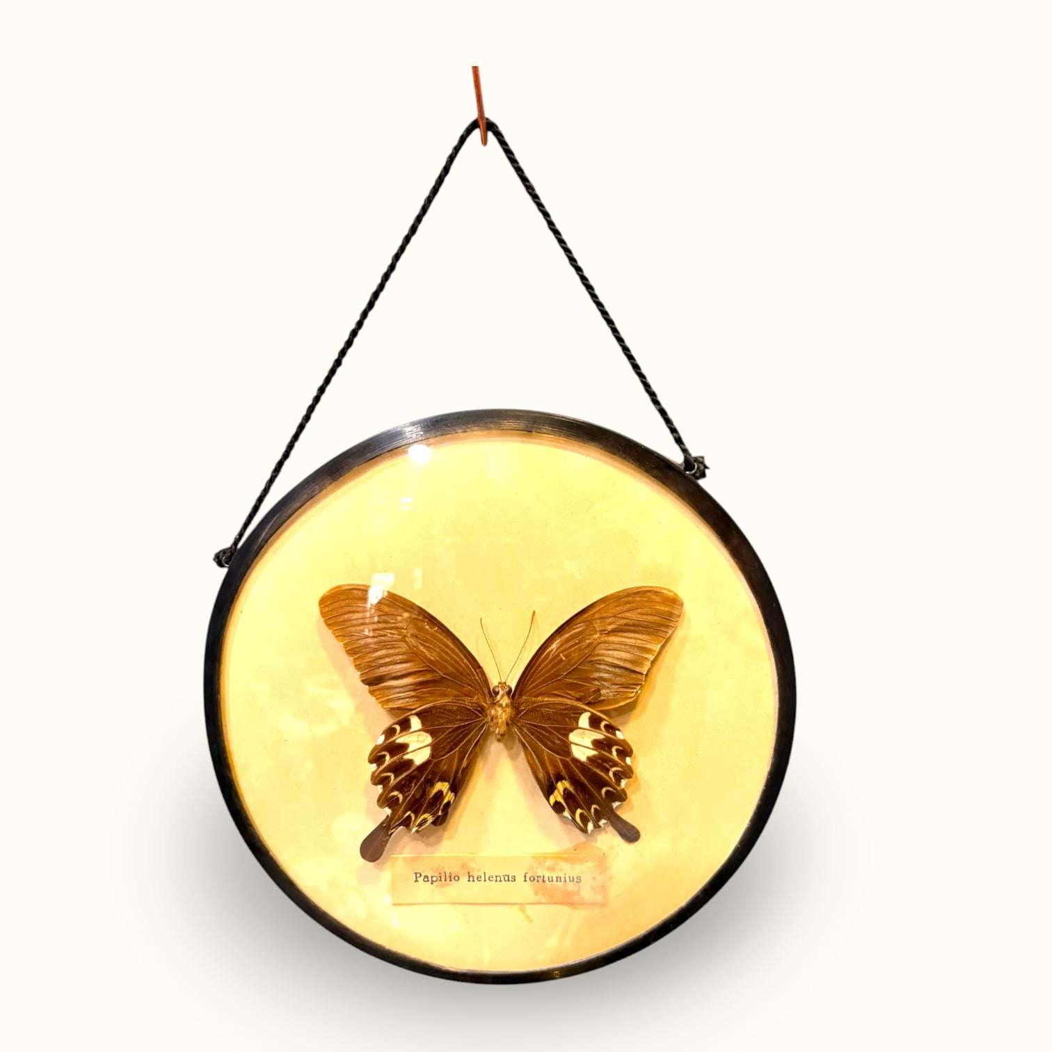 Este Marco con mariposa destaca por su delicadeza y por su capacidad para aportar personalidad sin ocupar demasiado espacio. 