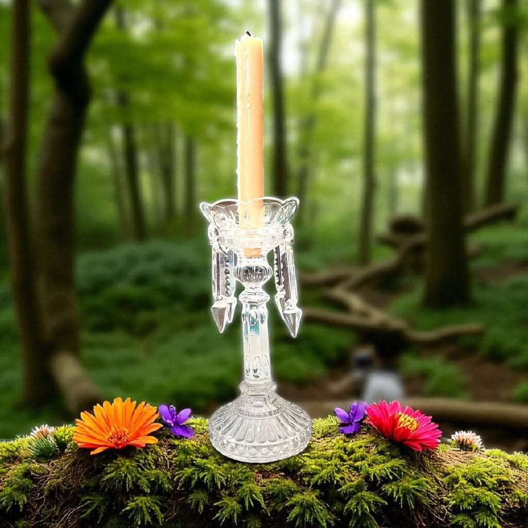 Candelero de cristal antiguo con vela encendida en bosque, rodeado de flores, ideal para decoración rústica y sofisticada.
