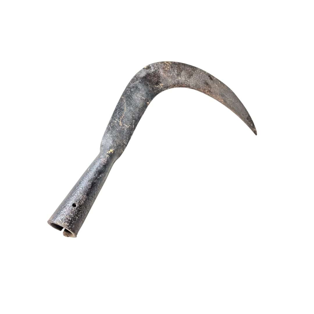 Podón antiguo para limpieza de árboles, calidad excepcional, pieza de hierro rústica y coleccionable para decoración vintage en hogar o jardín.