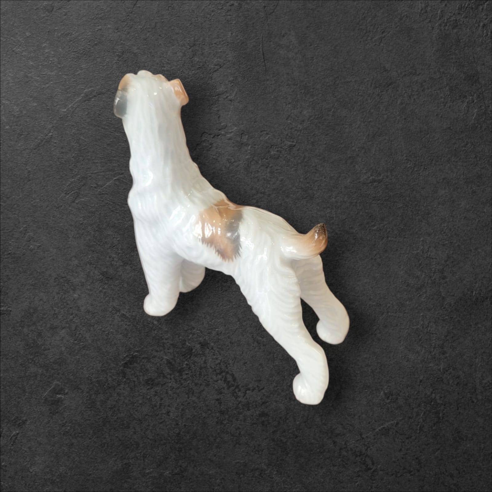 Vista trasera de figura Fox Terrier en porcelana alemana original Limbach años 50, pieza decorativa para hogar estilo retro o vintage.