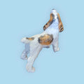 Cocker Spaniel de porcelana esmaltada alemana Trébol años 50, pieza de colección con diseño artesanal y estilo retro para el hogar.