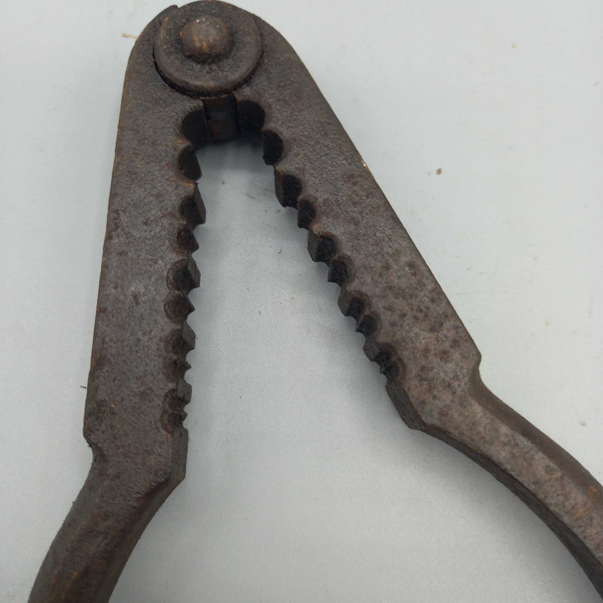 Alicate/mordaza con seguro antiguo de alta calidad – Vintage, herramienta de hierro con acabado envejecido ideal para decoración rústica.
